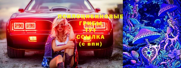 экстази Арсеньев