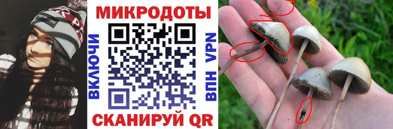 Псилоцибиновые грибы прущие грибы купить наркотик Лысково